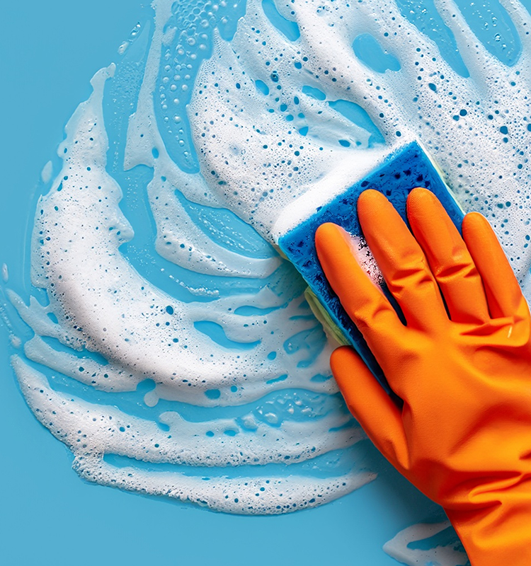 ALLES FRISCH & HYGIENISCH